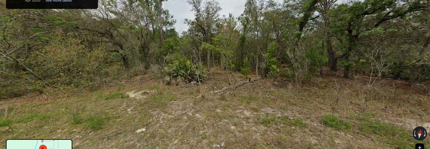 Great Piece of Land