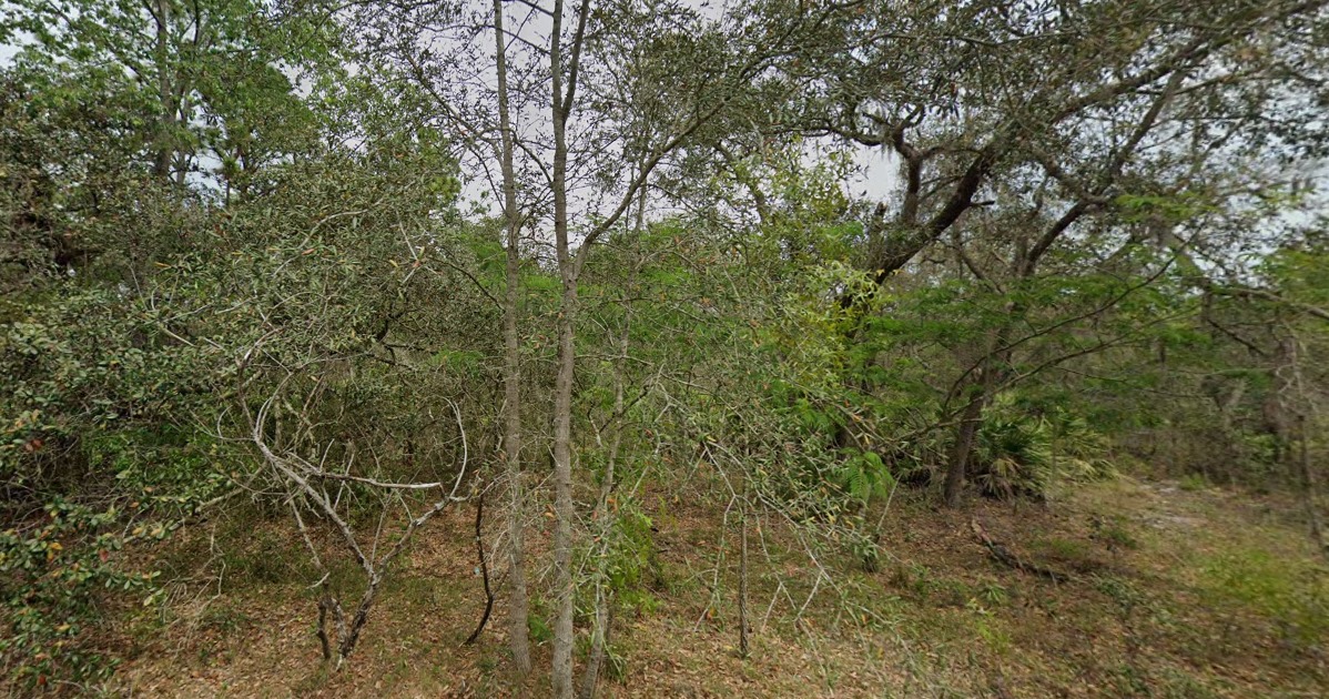 Great Piece of Land