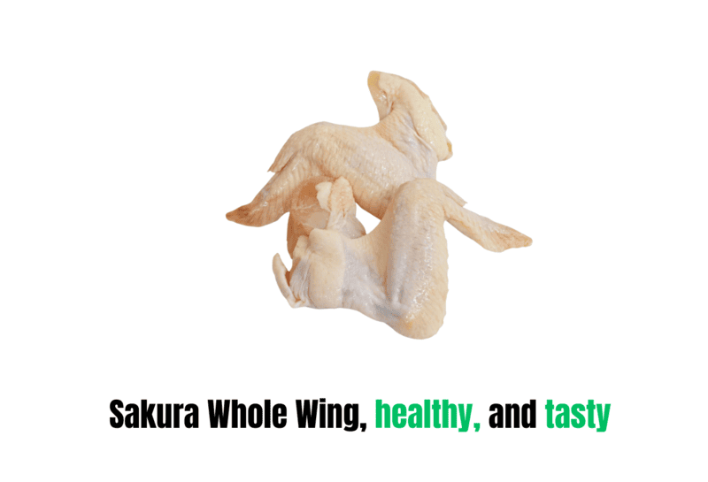 Sakura whole wing Sakura whole wing