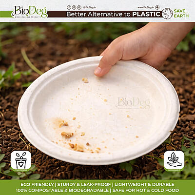 10 Inch Bagasse Plate Round | Eco Disposable Plates | Best For Event