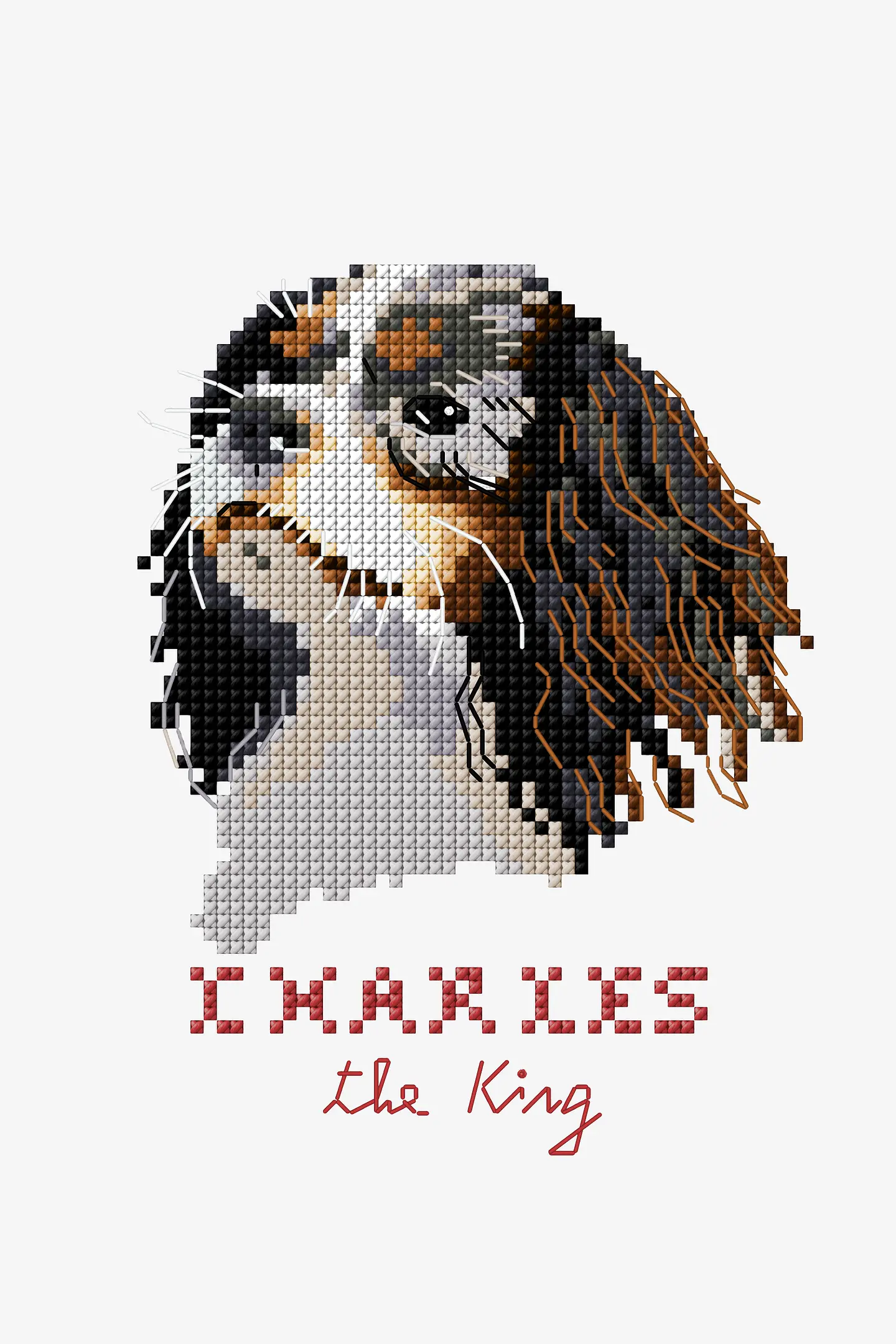 Schema Charles Il Cavalier King gratuito + Set di matassine Moulinè DMC