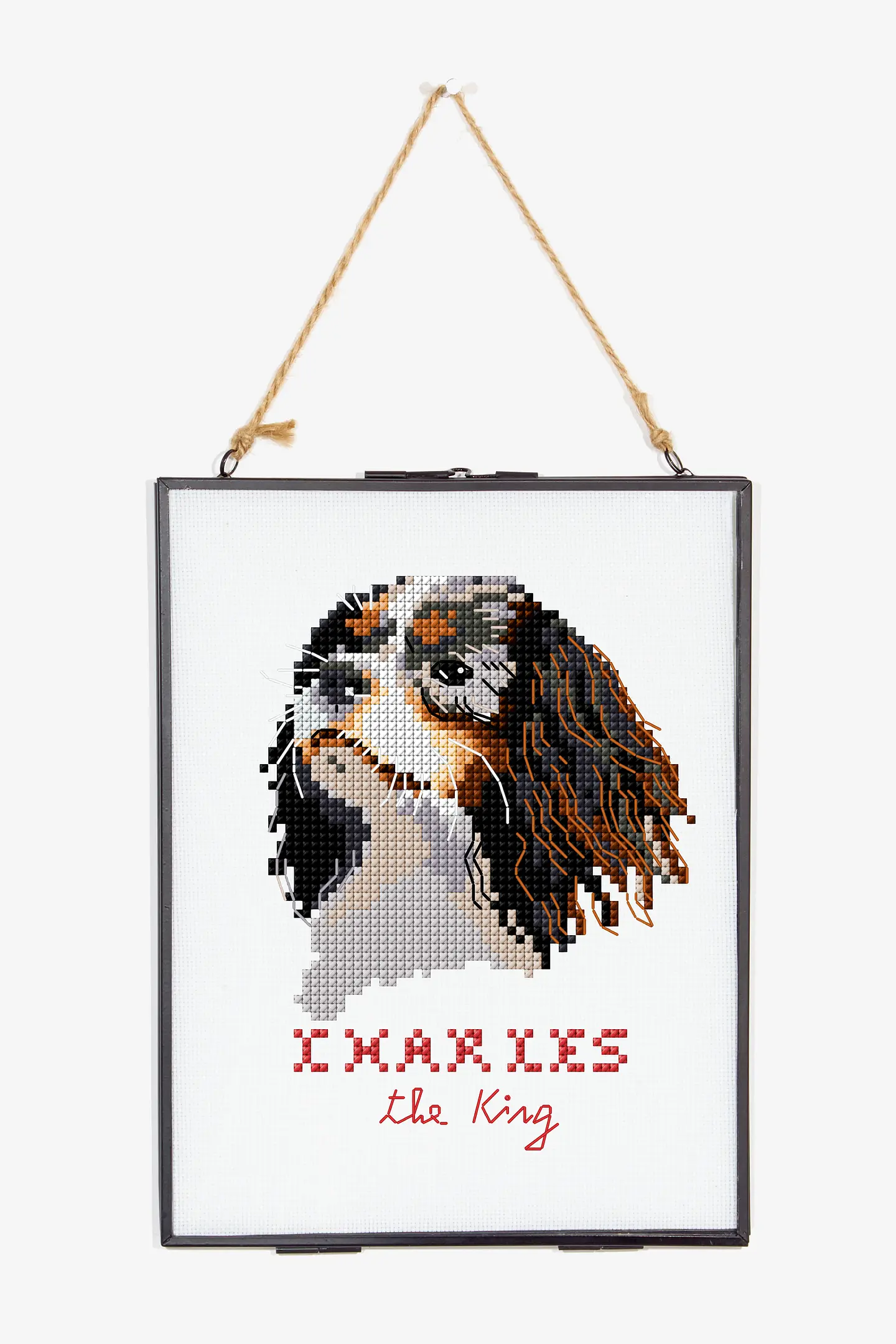 Schema Charles Il Cavalier King gratuito + Set di matassine Moulinè DMC