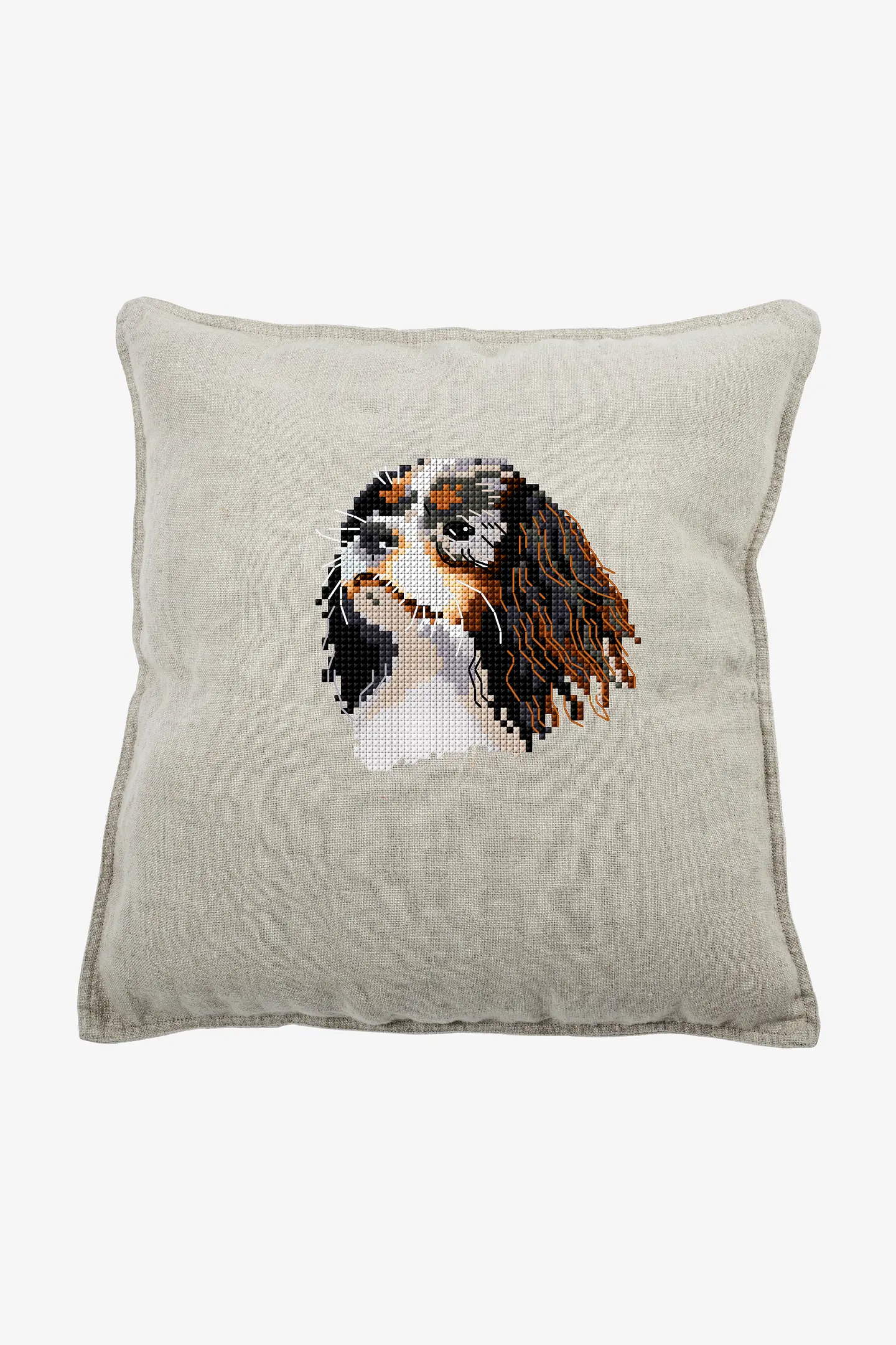 Schema Charles Il Cavalier King gratuito + Set di matassine Moulinè DMC