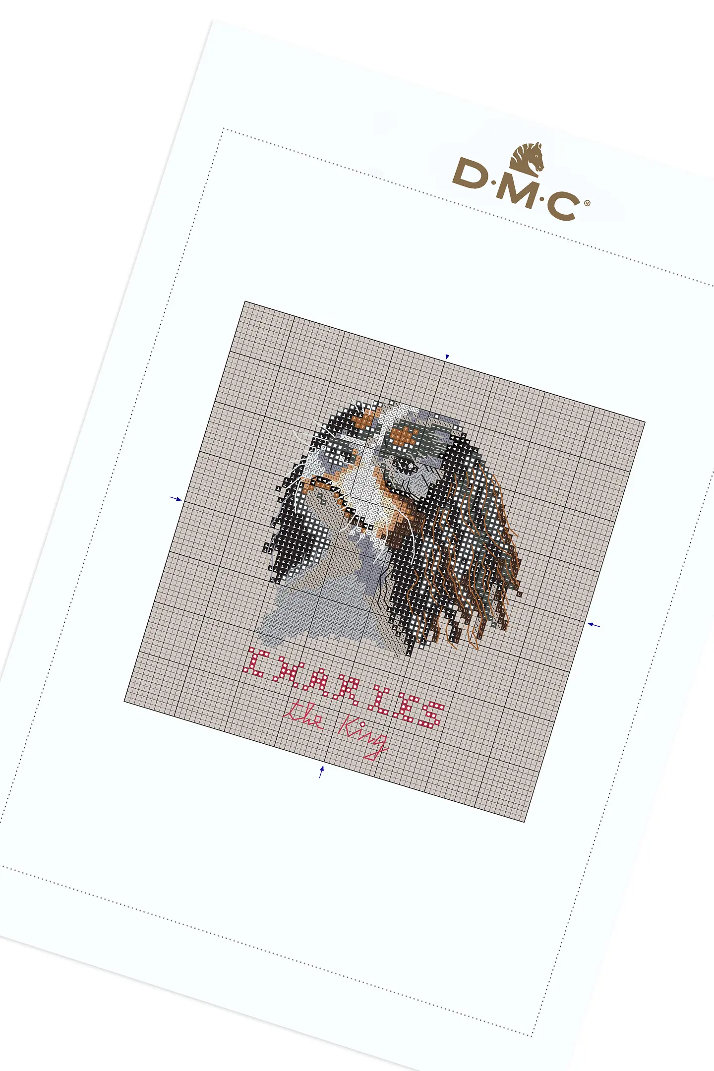 Schema Charles Il Cavalier King gratuito + Set di matassine Moulinè DMC