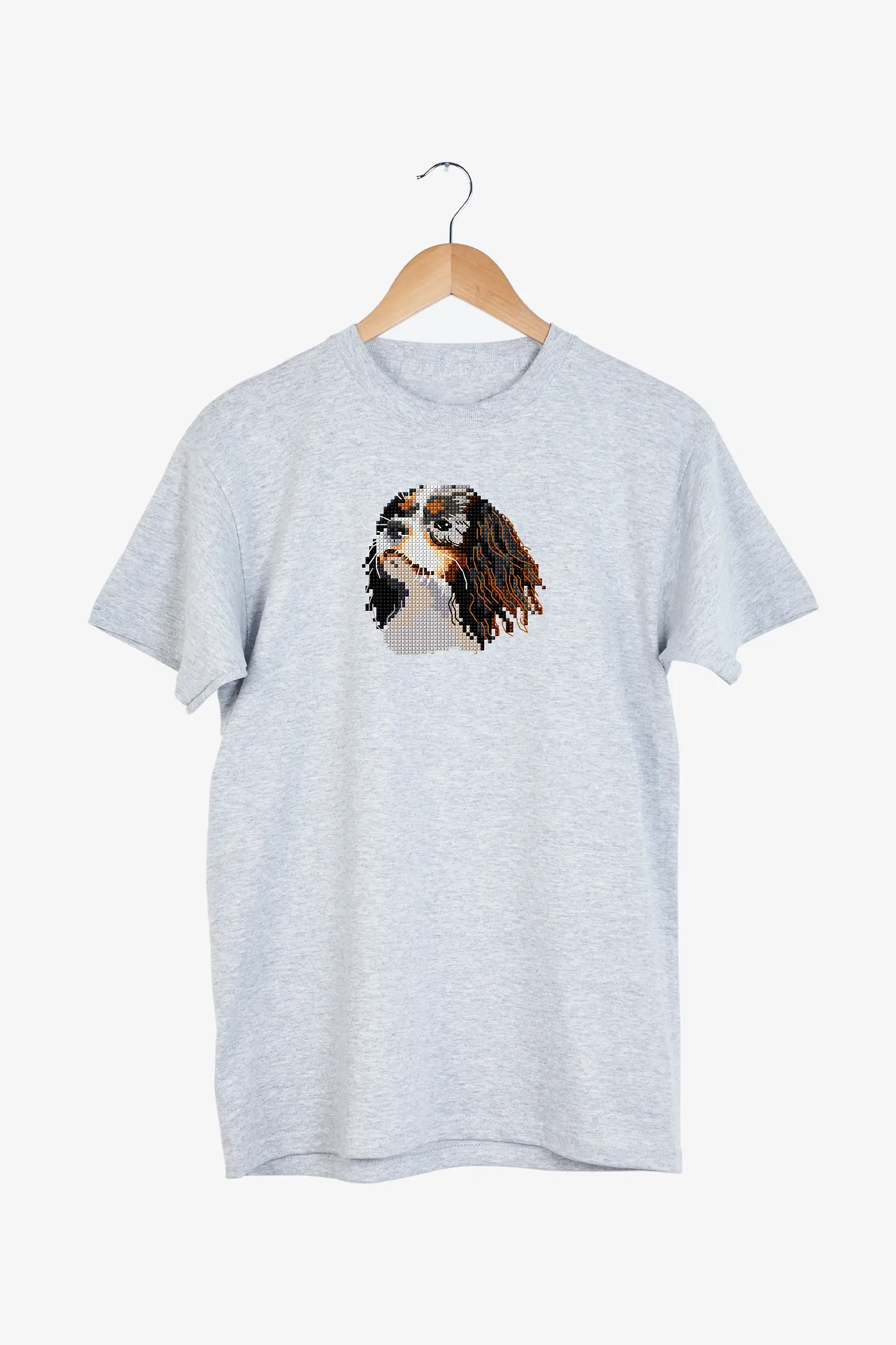 Schema Charles Il Cavalier King gratuito + Set di matassine Moulinè DMC