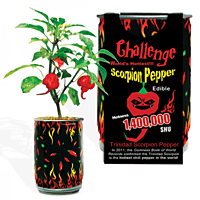 Red Trinidad Scorpion Growing Kit