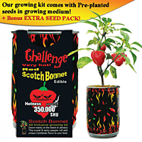 Red Scotch Bonnet Growing Kit