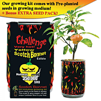 Yellow Scotch Bonnet Growing Kit