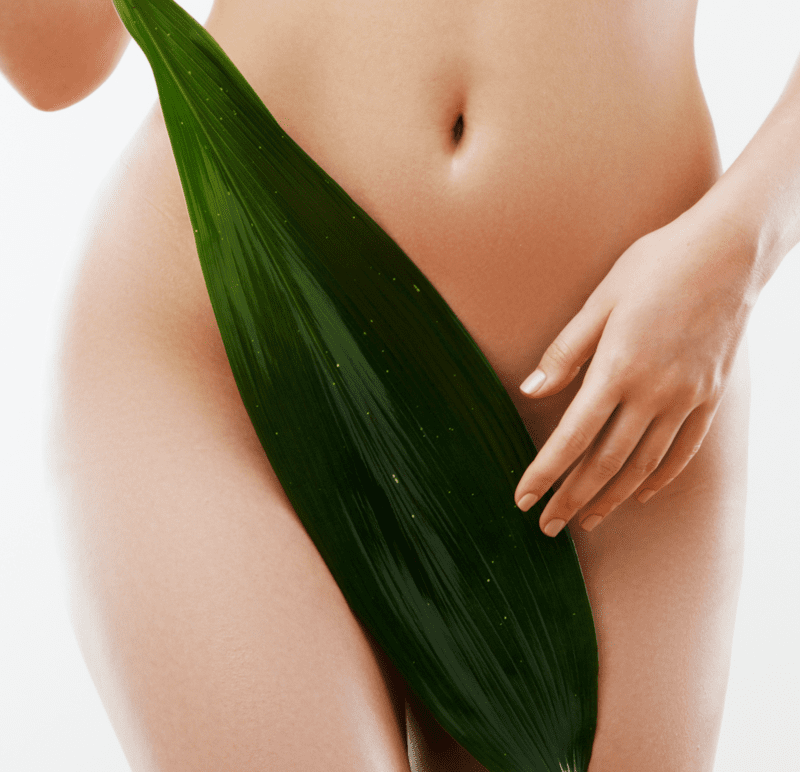 Brazilian Wax (30 min)