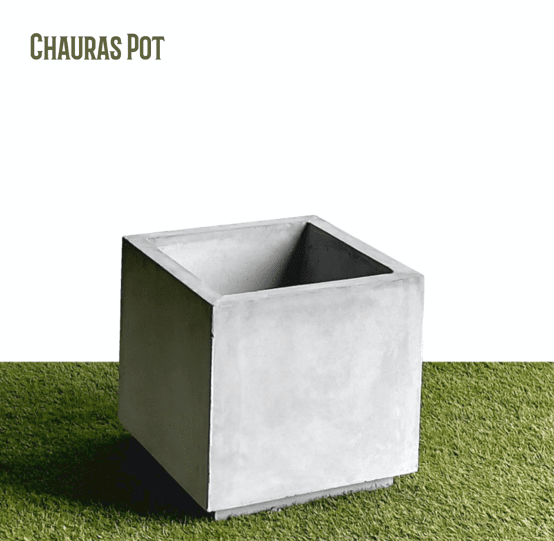 Chauras Pot