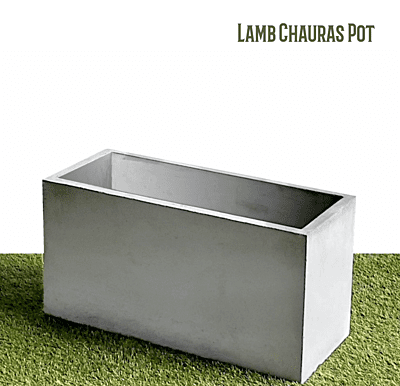 Lamb Chauras Pot