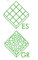 Hurricane Blade - 7" Knock Out