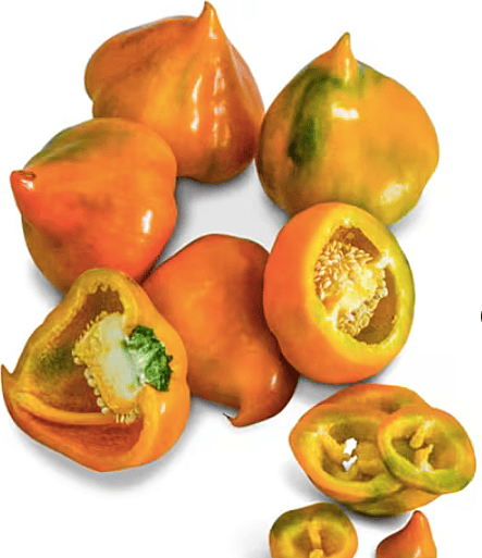 Orange Lesya Sweet Pepper