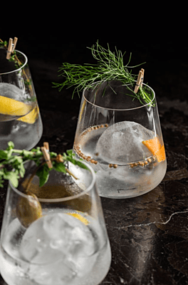 Gin Dinner