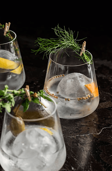 Gin Dinner