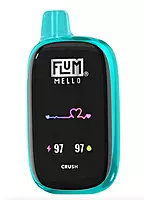 FLUM MELLO