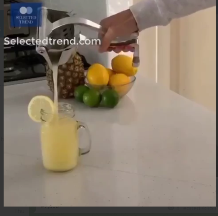 MANUAL JUICE EXTRACTOR FRUIT PRESS - VERY BIG