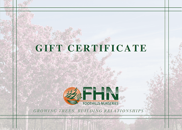 GIFT CERTIFICATE
