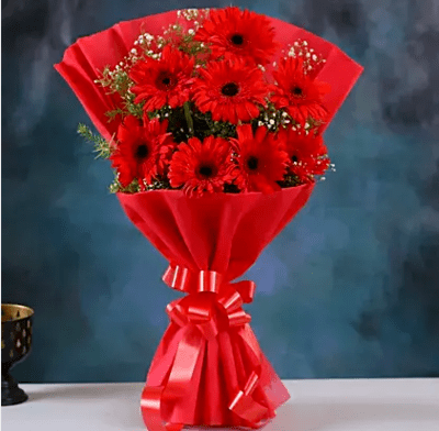 Red Elegance Gerbera Blossoms