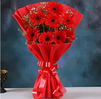Red Elegance Gerbera Blossoms
