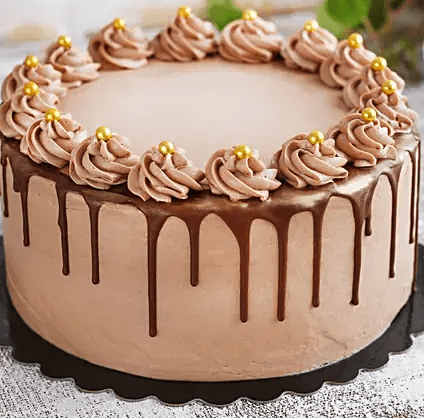 Chocolate Fudge Cake Chocolate Fudge Cake