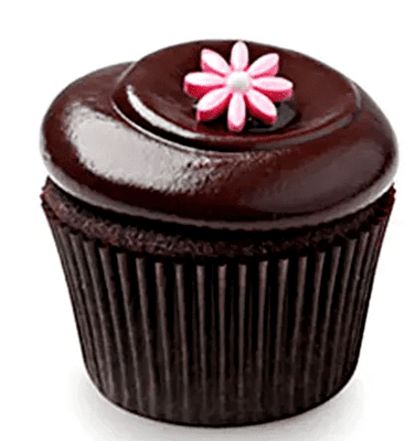 Chocolate Squared Cupcakes 6