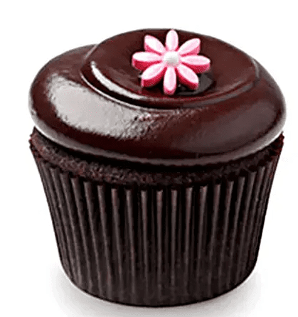 Chocolate Squared Cupcakes 6