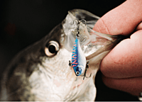 13 Fishing Micro Magic Man 13 Fishing Micro Magic Man