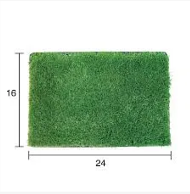 Zoysia Palisade