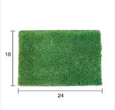 Zoysia Palisade