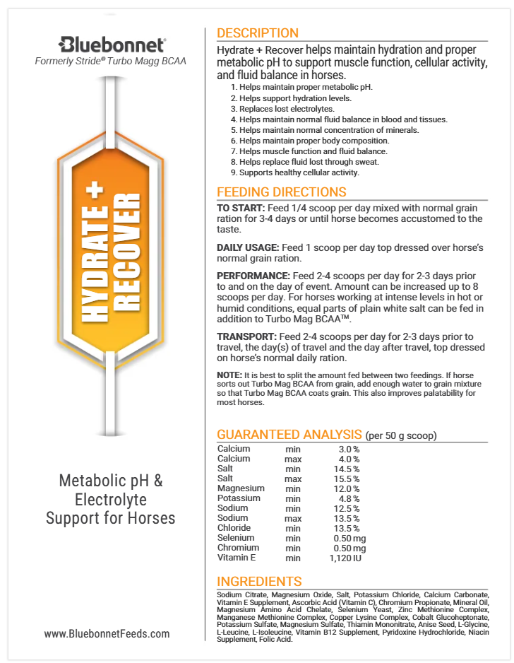 Hydrate & Recover- 44lb