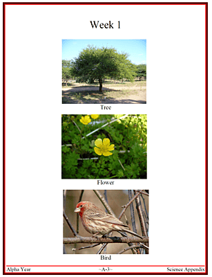 CCM Alpha Full-Color Science Appendix (Emailed Download)