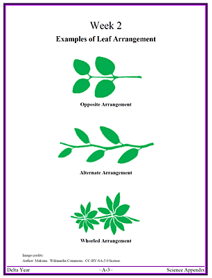 CCM Delta Full-Color Science Appendix (Emailed Download)