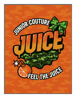 Juice Team Blanket Juice Team Blanket