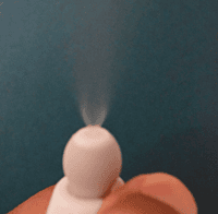 Flu Fighter Neti Sprayer