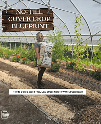 No Till Garden Blueprint