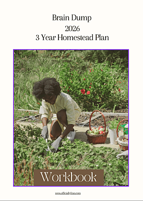 Homestead Brain Dump