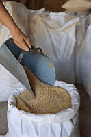 18% Show Hog Grower 18% Show Hog Grower