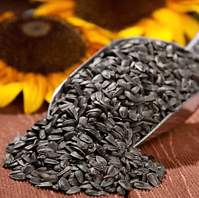Black Sunflower Seeds