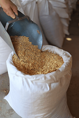 Economy Beef Grower/Finisher