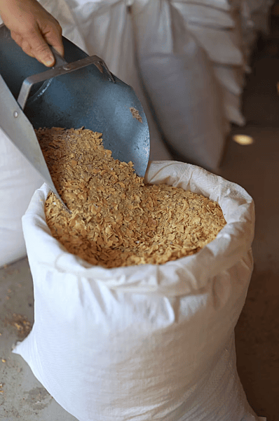 Economy Beef Grower/Finisher