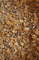 Original Steer Finisher