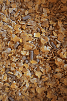 Original Steer Grower