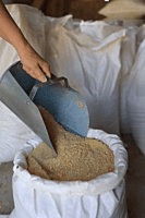 16% Economy Hog Grower/Finisher