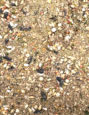 16% Corn and Soy Free Layer