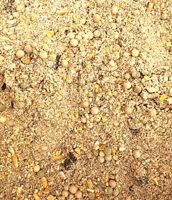 18% Soy Free Hog Grower