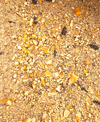 20% All Flock Performance