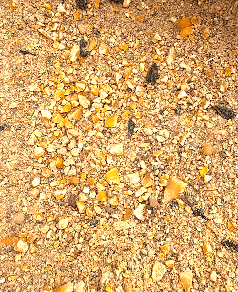 20% All Flock Performance