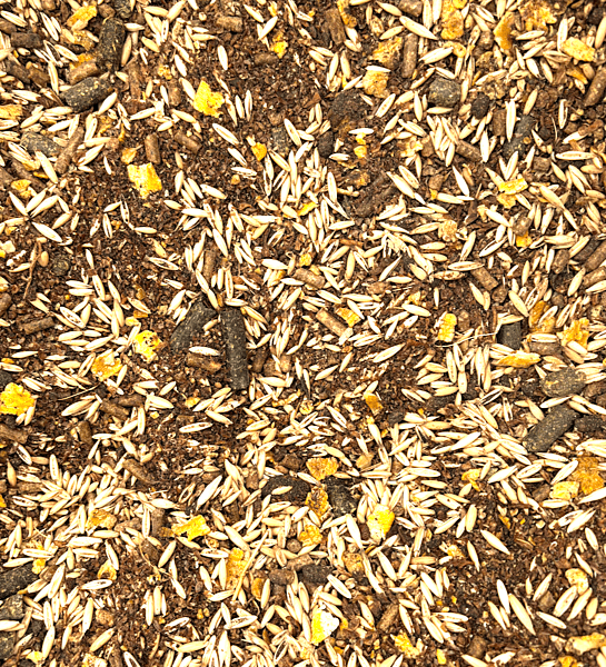 Performance Horse Feed