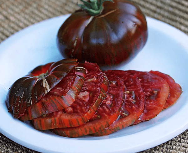 Black & Brown Tomato